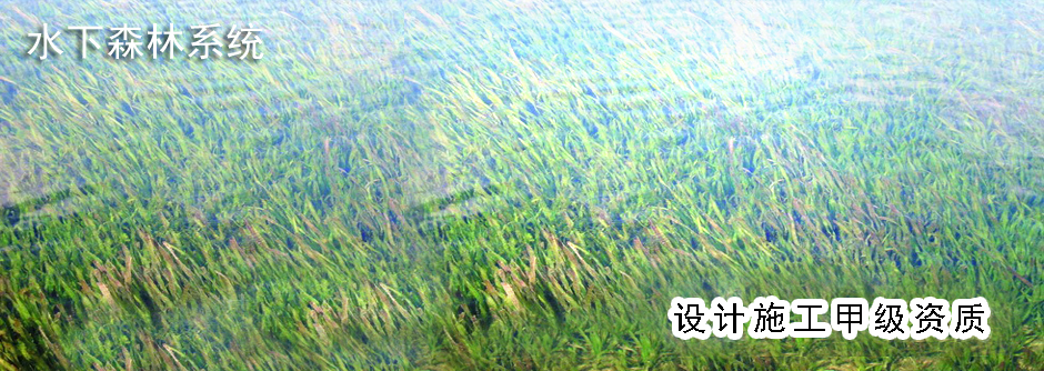 山東締造者機電科技有限公司